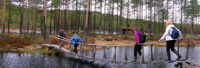 Premieutdeling Ti på Topp